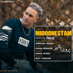 دانلود آهنگ پرویز پالیز میدونستم